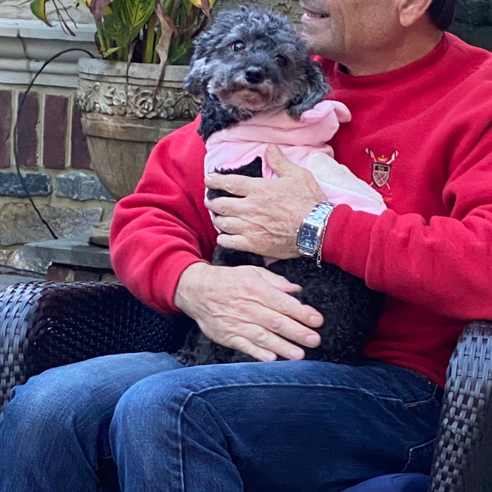 Meet your Posher, Laura